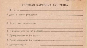 «Власть упорно записывает в «тунеядцы» тех, кто не живет в стране»