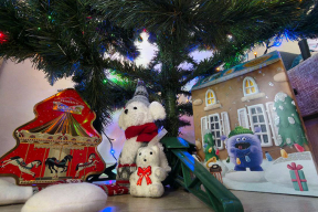 «Падарожнічаць паміж краінамі мы не можам. Але можам пакласці пад ёлку падарунак, які скажа: «Мы памятаем. Мы побач»